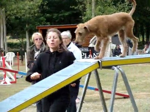 CONCOURS ASAEC AU MANS 220511 021