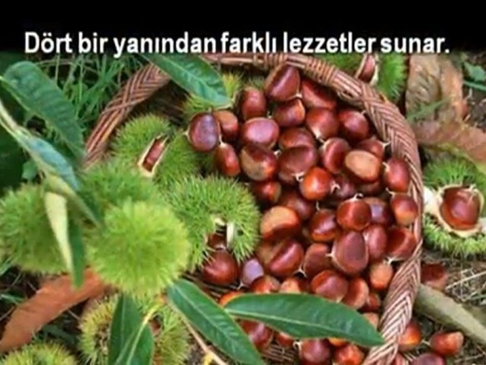 Tuluyhan Uğurlu/ Bursa'da Zaman