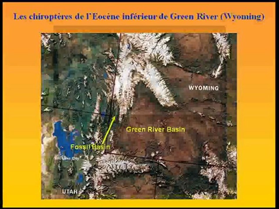 Origine et évolution des premiers chiroptères. Dr. Thierry Smith (Institut Royal des Sciences Naturelles de Belgique)