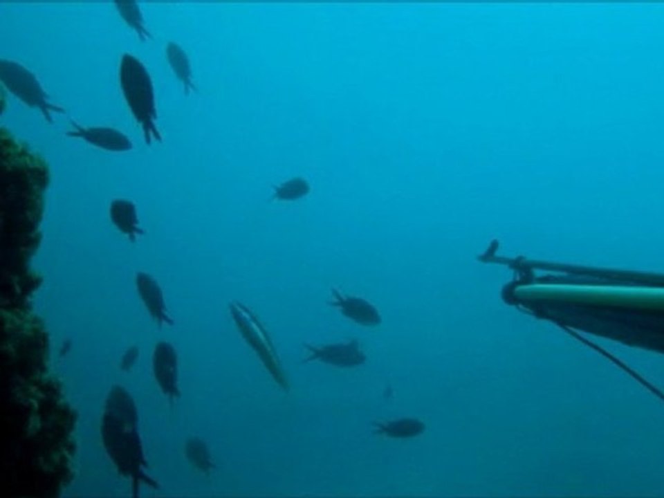 film 2 ( la sériole )-version II