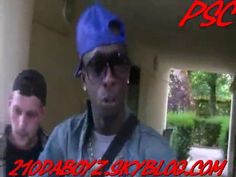 Wesson mams Pur son calibre