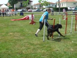 After Jump 1 Trophée par équipe 2011