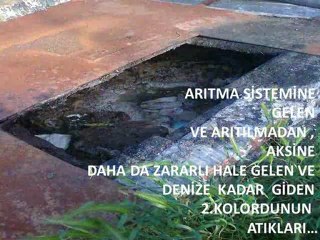 2. KOLORDU KOMUTANLIĞI GELİBOLU DENİZİNİ KİRLETİYOR