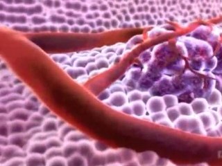 DNA'daki Tamir Mekanizması Olmasa Ne Olurdu?