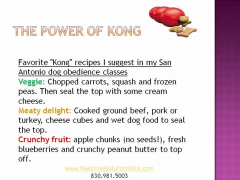 The Power of KONG - San Antonio Dog Obedience Classes Announce Toy Of The Month