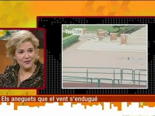 TV3 - Els matins - Els aneguets que el vent s'endugué