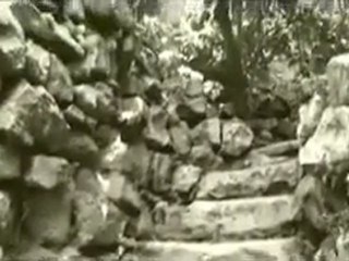 BERİVAN ARIN  @ MEHMET ALİ ARSLAN Videos