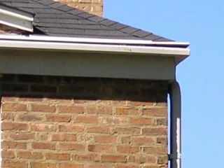 Clog Free Gutter Guard Protection Review Chicago