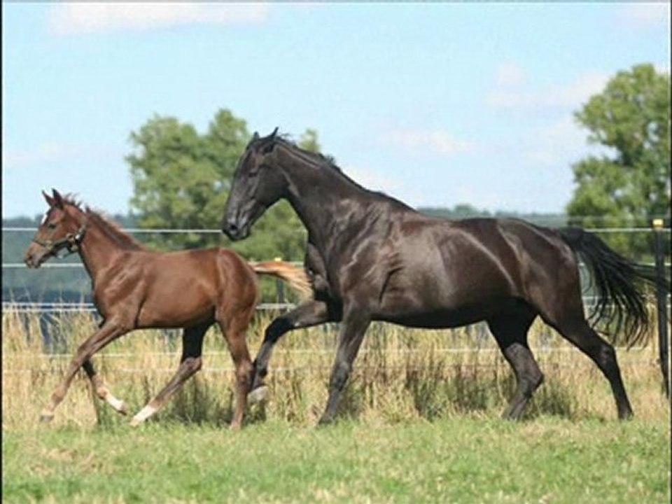 my synfonie macs-music alias J.Oberländer
