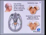 Micronoticias cientificas (21)