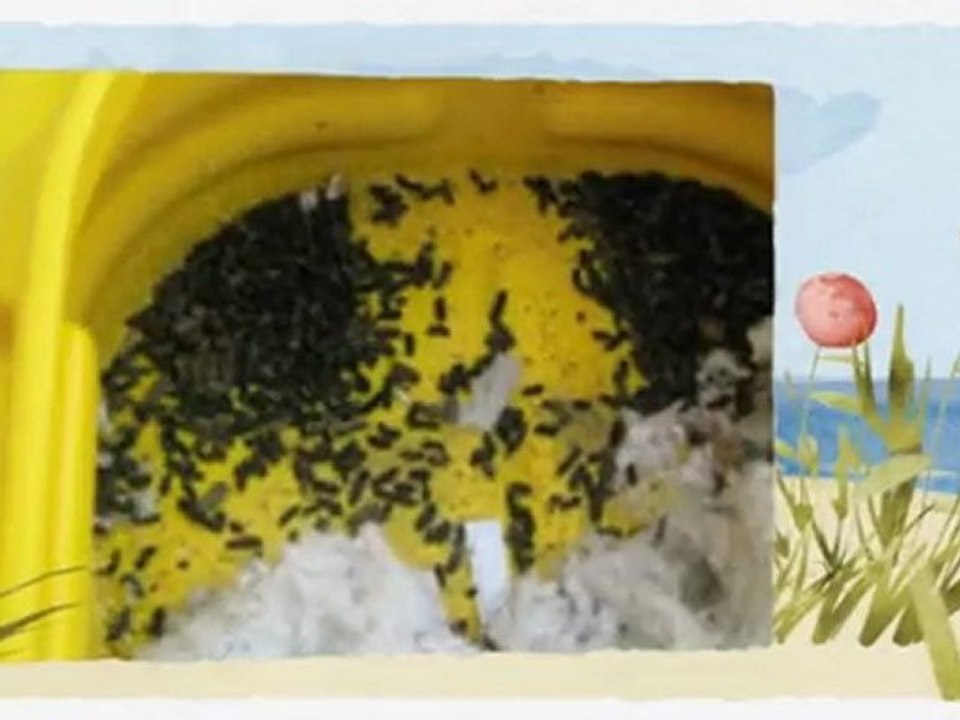 Avert Environmental Pest Control Inc 818-569-5199