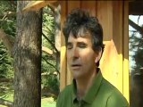 Reportage Vosges Télévision Cabane dans les arbres Nids des Vosges