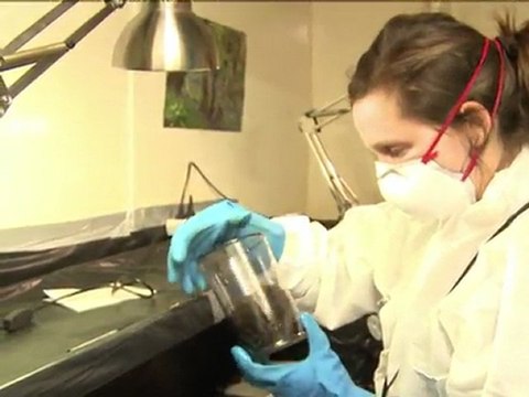 Le Journal vidéo du jeudi 26 mai 2011, édition de 12H00