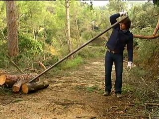 TV3 - Dimecres, 21.45, al 33 - Experimentem i aprenem junts, a "Quèquicom"