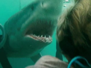 Shark Night 3D Trailer HD