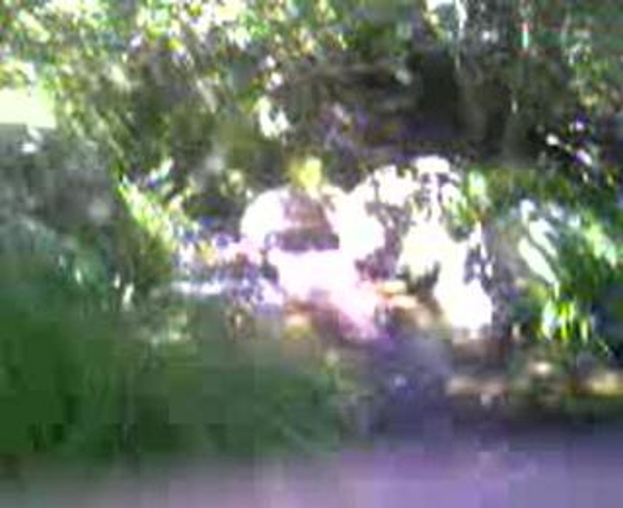 El rio