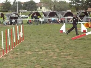 verylee degré villeneuve