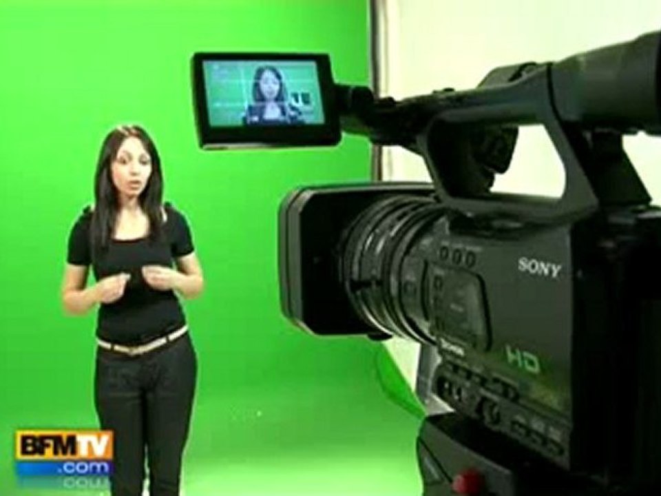 Le CV vidéo, Elaee
