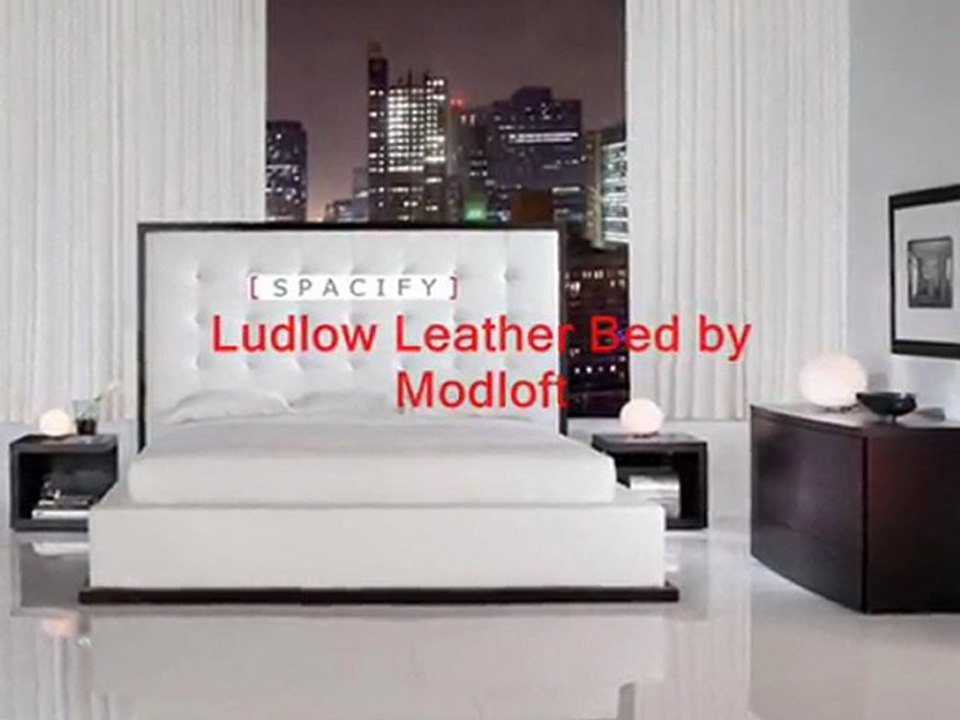 Storage platform bed