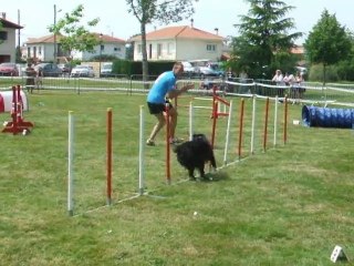 Tao Jump 1 Trophée par équipe 2011