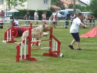 Cheyenne Jump 1 Trophée par équipe 2011