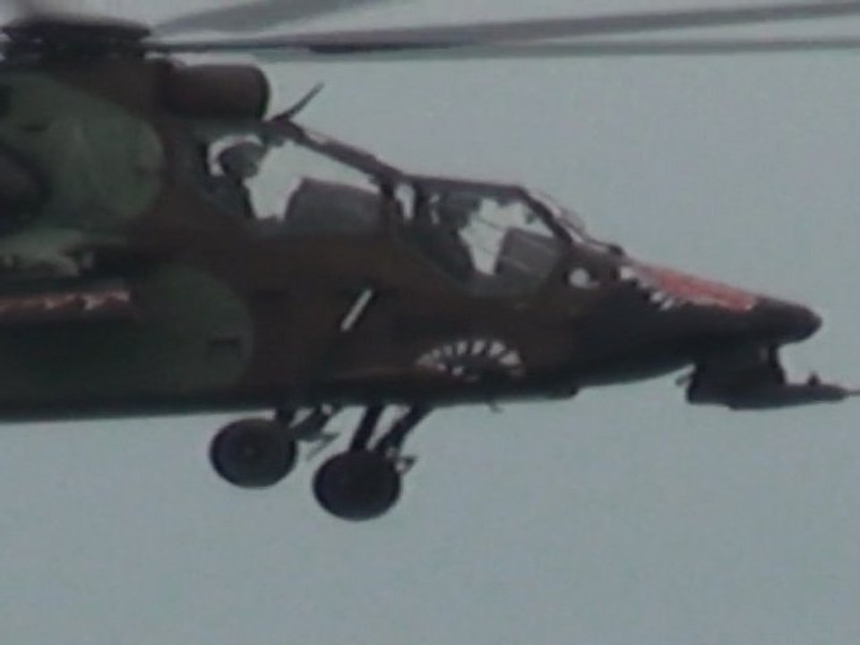 NATO TIGER MEET 2011