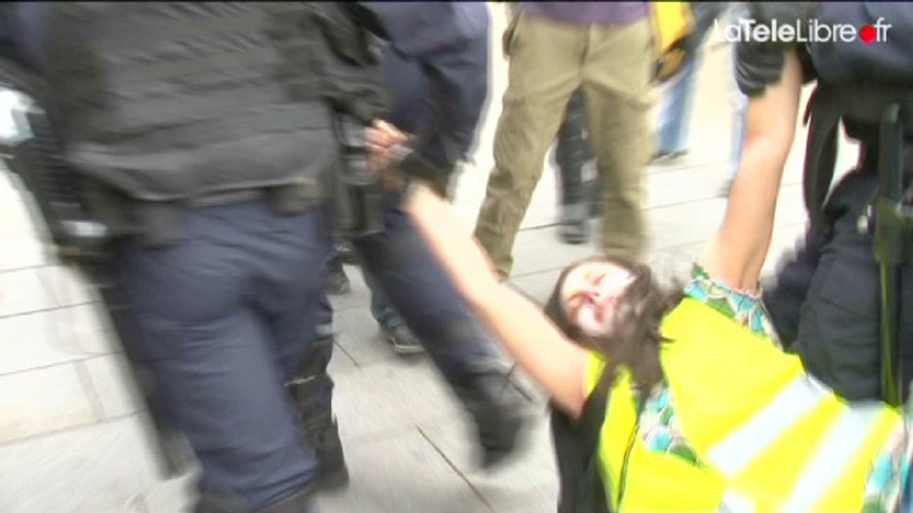 MANIF ANTI-G8 : CLOWNS VS FLICS