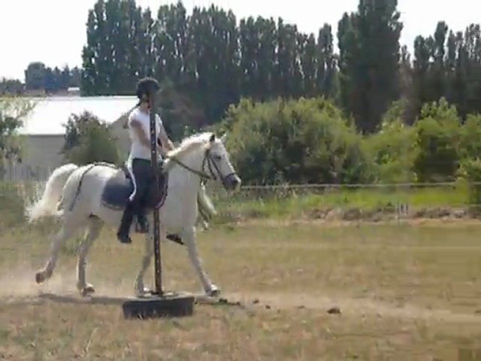 Re ingana =)