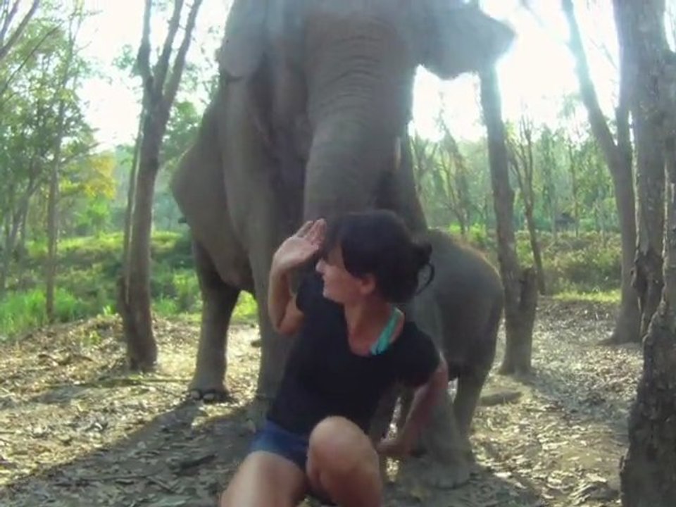 Un éléphant, ça trompe, énormément...