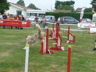 Cheyene Jump 2 Trophée par équipe 2011