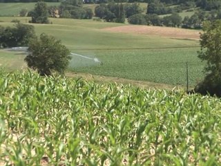 Sécheresse dans le Gers : les agriculteurs inquiets