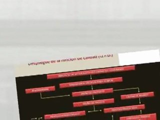 Calidad en el servicio al cliente