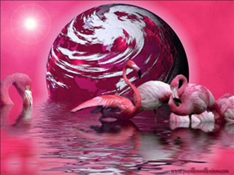 Graeme Allwright - Sacrée Bouteille