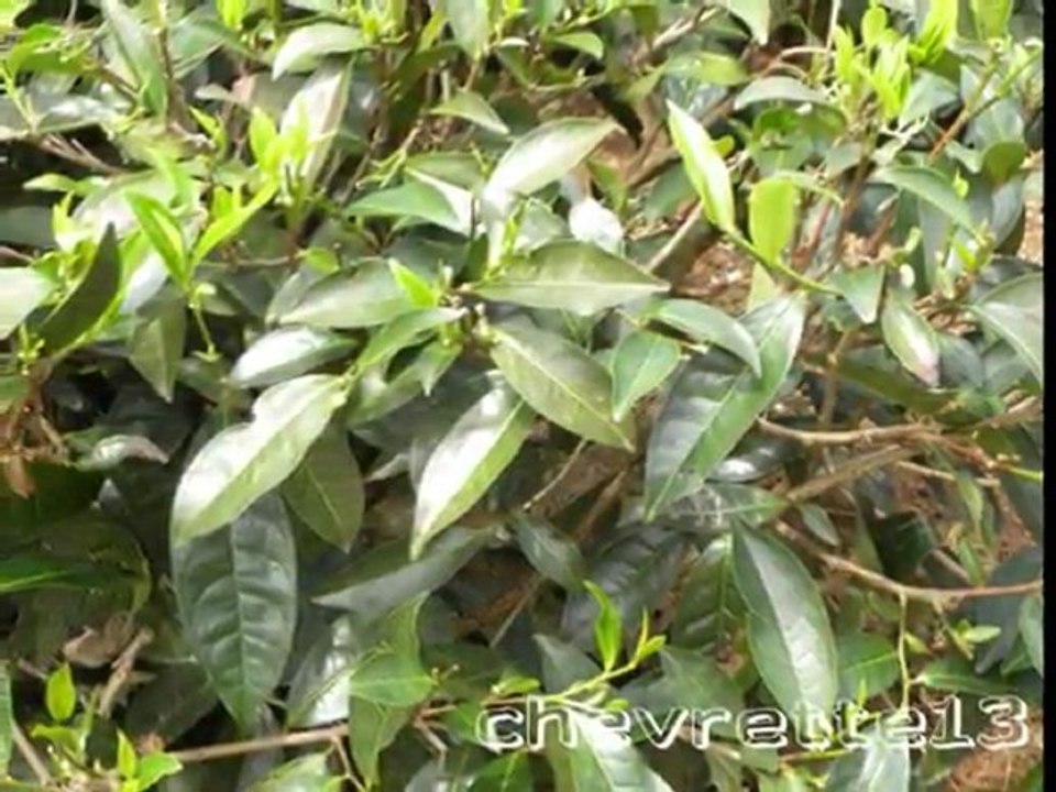 paysages de montagnes