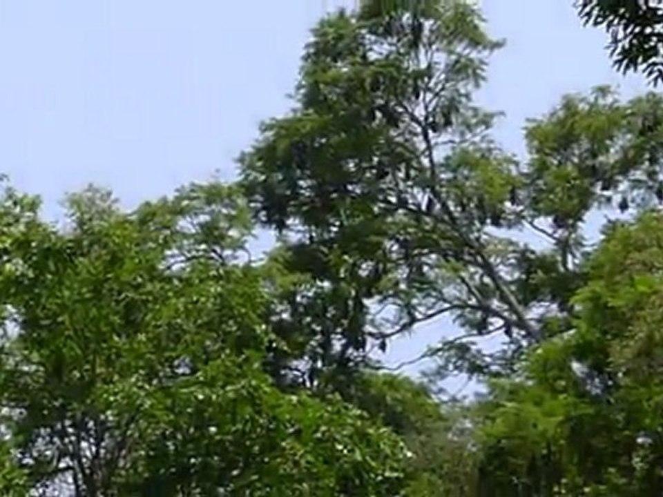 20110509(075535)