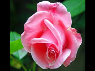 SEÇİL HEPER-UD TKSM.-SEVMEDİKLERİNLE GÖNÜL AVUTMA