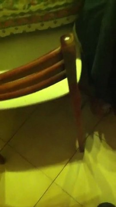 simba fait l'andouille