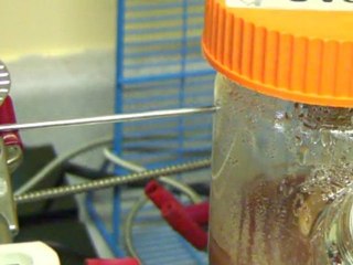 Non-invasive Oxygen and pH Measurement in BioFermentation