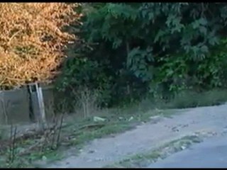 ROJİN HARİKA KÜRTÇE @ MEHMET ALİ ARSLAN Videos