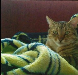 CIMBIZ - 25 MAY 2011