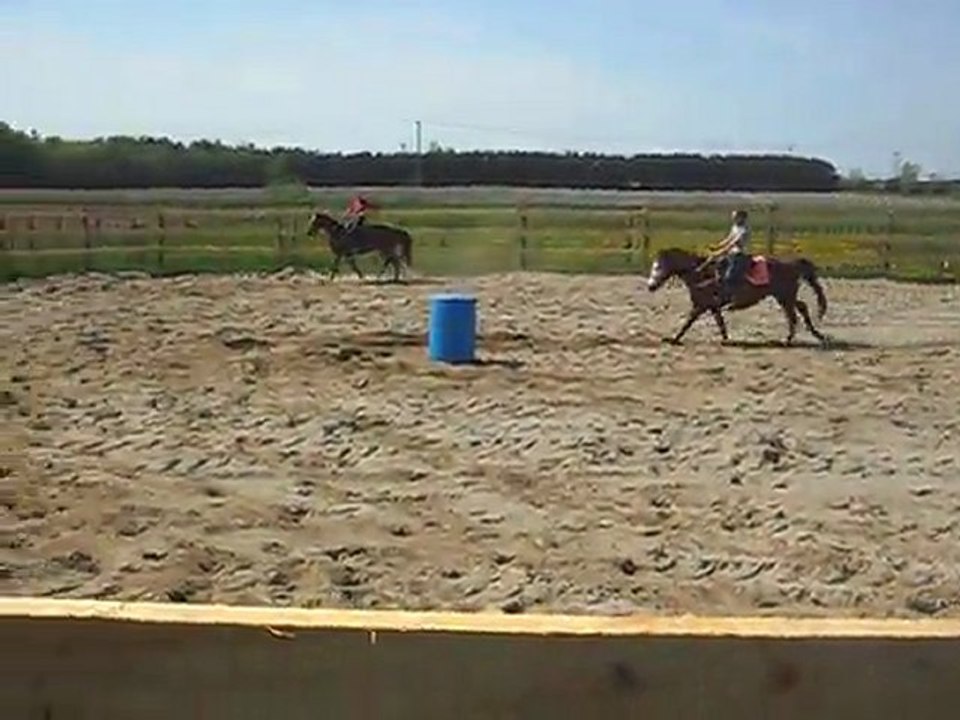 Premiere pratique avec ma nouvelle jument ( Meila ) aller retour