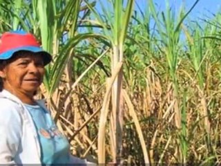 Fair Trade: Corporations helping the developing World