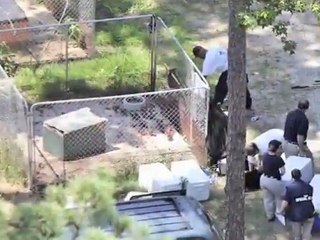 Persia White Talks to VegTV about compassion