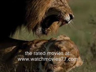 african cats full hd movie