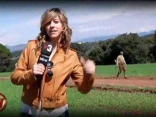 TV3 - Divendres - Divendres