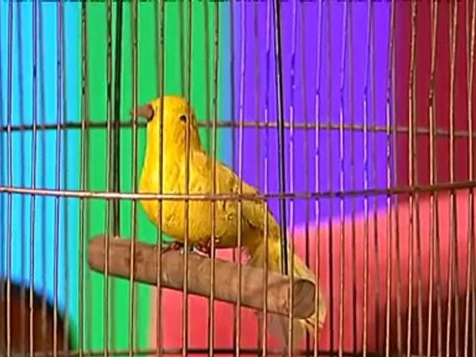 TV3 - Polònia - Monegal sense ulleres