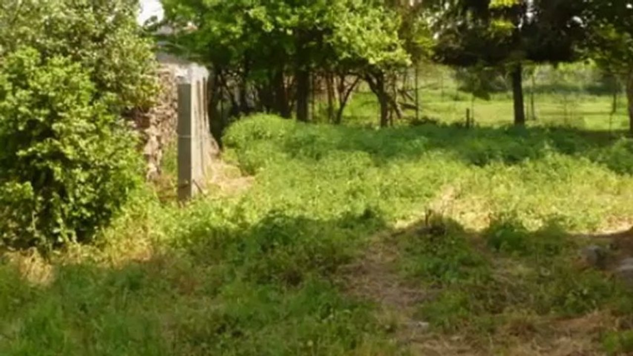A vendre - maison - EINVILLE AU JARD  (54370) - 6 pieces - 1