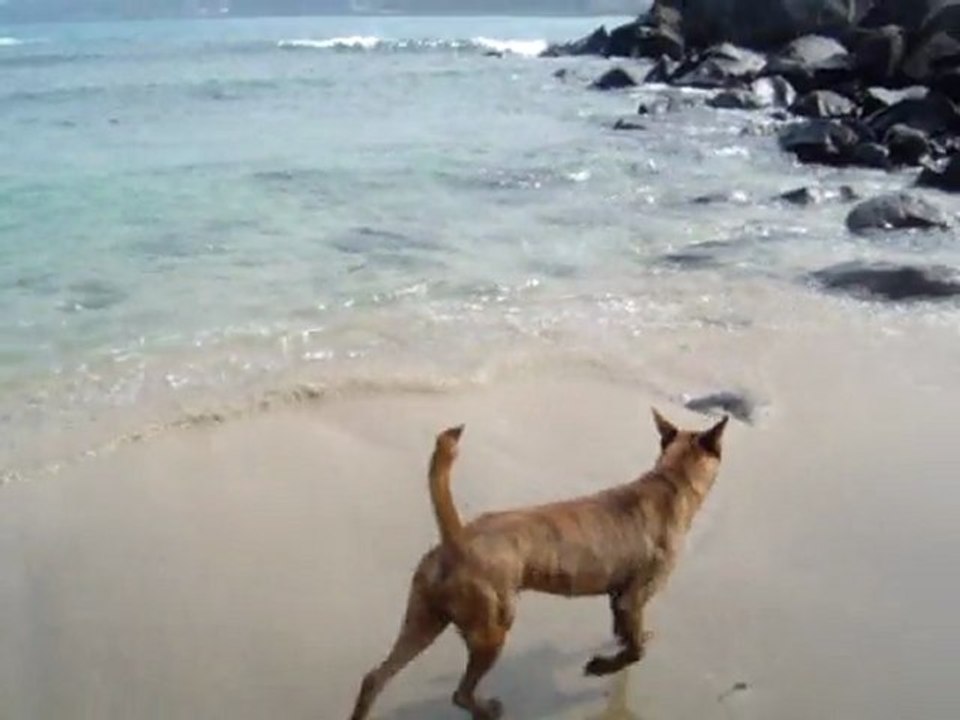 2011 02 08 030
