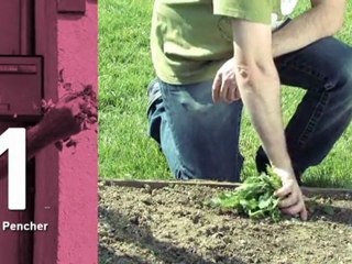 1...2...3... Adoptez les bons gestes ! la suite