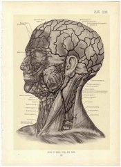 Delta Sleep Inducing Peptide - Soporific range of thoughts